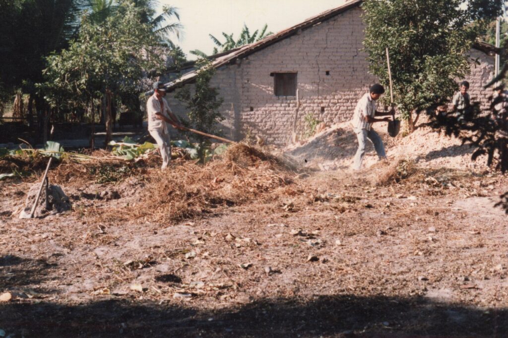 Clearing the lot